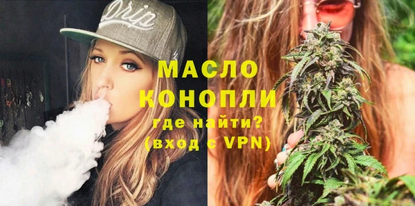 молекула духа Елабуга