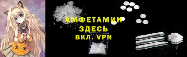 молекула духа Елабуга