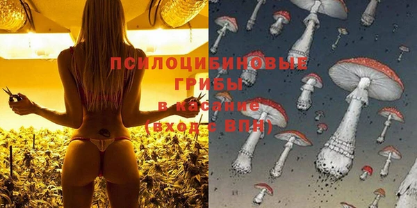мяу мяу мука Ельня