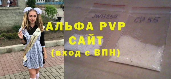 молекула духа Елабуга