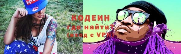 молекула духа Елабуга