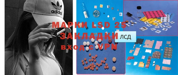молекула духа Елабуга