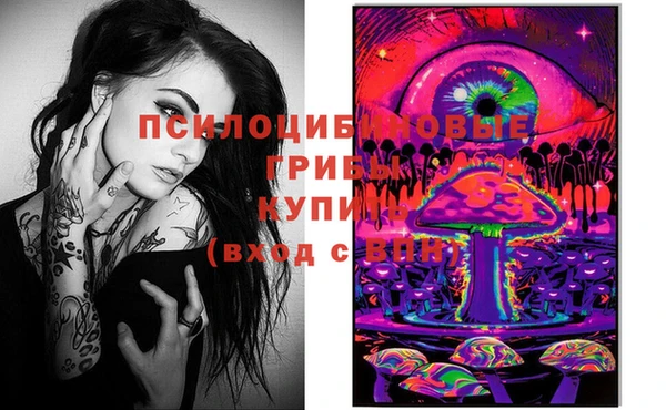 мяу мяу мука Ельня