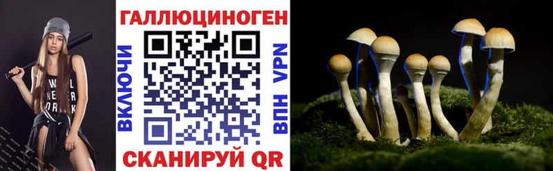 Галлюциногенные грибы мицелий  хочу наркоту  Татарск 