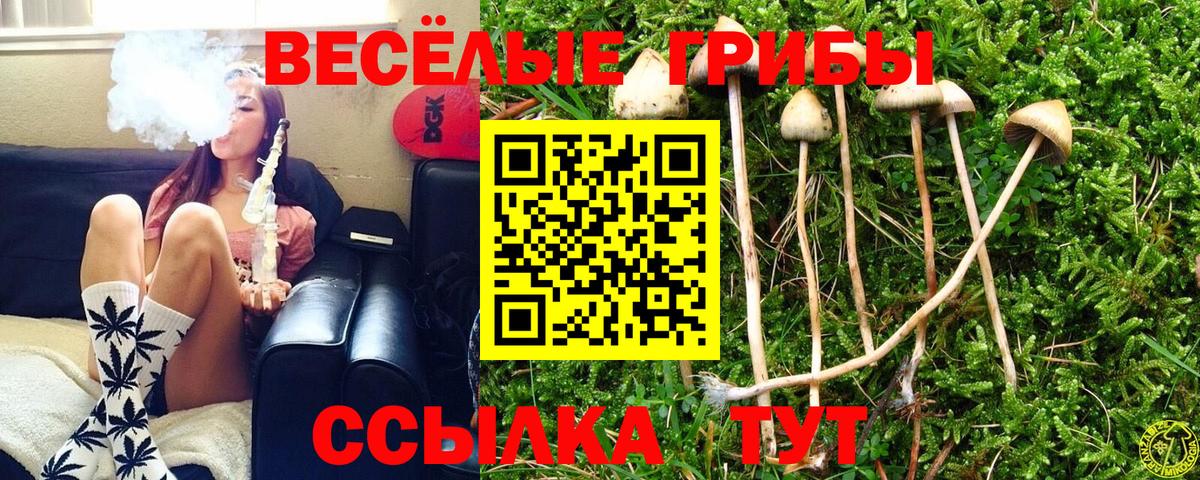 Татарск  Галлюциногенные грибы прущие грибы  Вход с VPN 