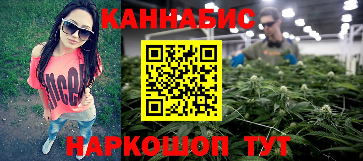 Шишки марихуана сатива  Вход с VPN  Татарск  Бошки Шишки семена  Бошки марихуана план 